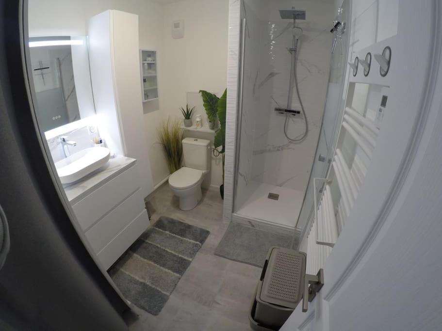 Appartement T3 Proche De سوموور المظهر الخارجي الصورة